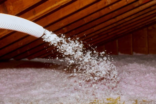 Best Specialized Insulation Services in Long Lake, IL