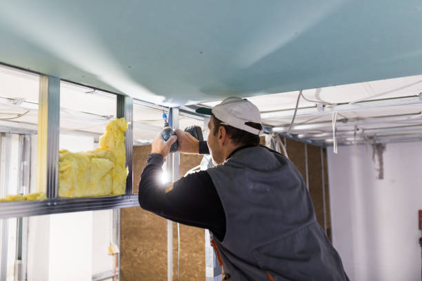 Best Cellulose Insulation in Long Lake, IL