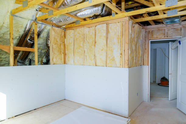Best Geographic-Specific Insulation Services in Long Lake, IL