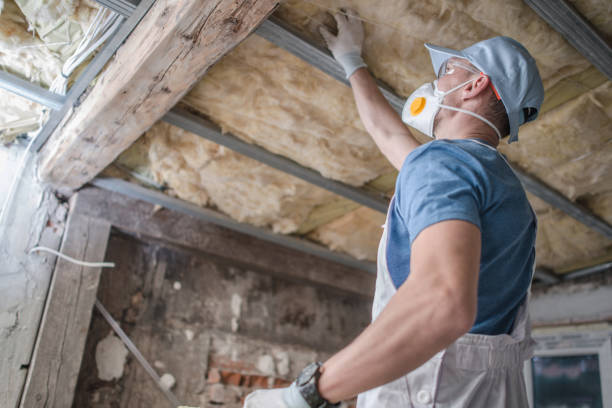 Best Commercial Insulation in Long Lake, IL