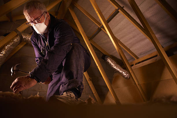 Reliable Long Lake, IL Insulation Contractor Solutions